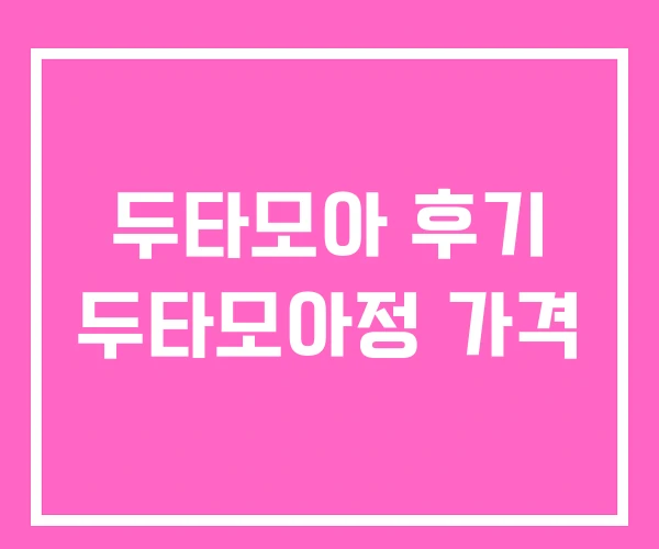 두타모아 후기 두타모아정 가격