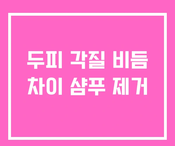 두피 각질 비듬 차이 샴푸 제거