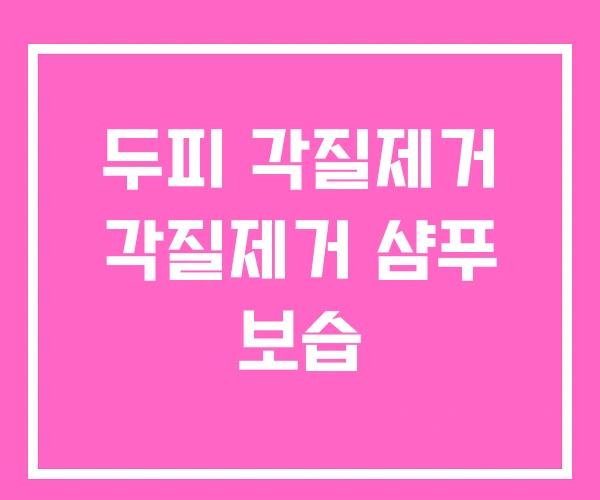 두피 각질제거 각질제거 샴푸 보습