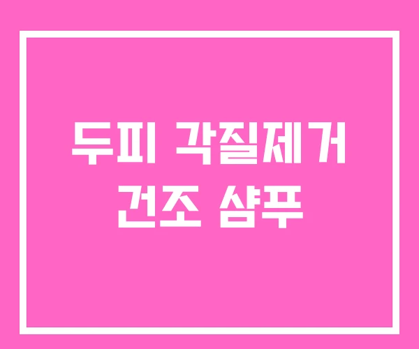 두피 각질제거 건조 샴푸