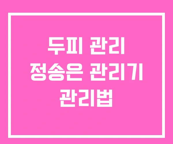 두피 관리 정송은 관리기 관리법