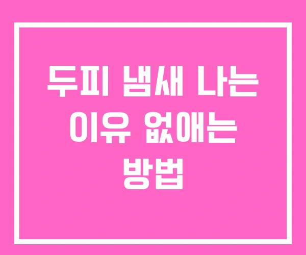 두피 냄새 나는 이유 없애는 방법