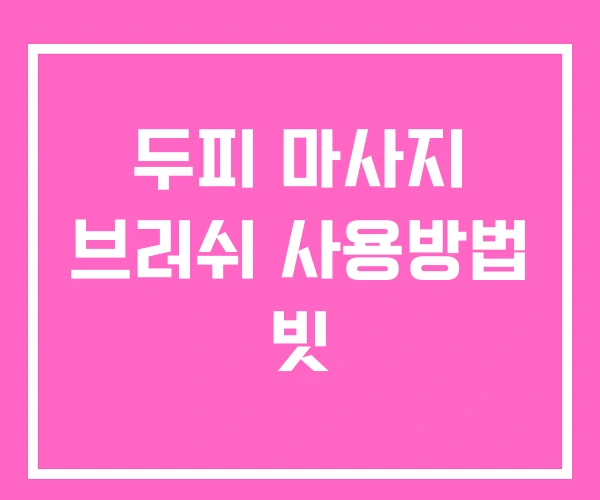 두피 마사지 브러쉬 사용방법 빗