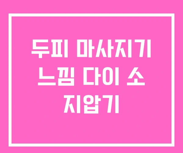 두피 마사지기 느낌 다이 소 지압기