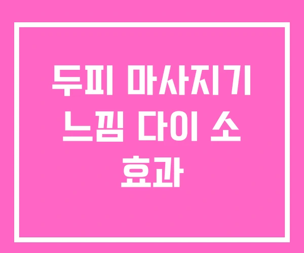 두피 마사지기 느낌 다이 소 효과