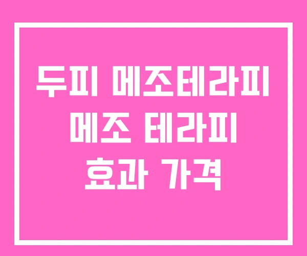 두피 메조테라피 메조 테라피 효과 가격