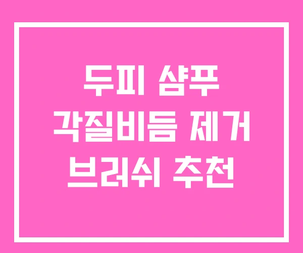 두피 샴푸 각질비듬 제거 브러쉬 추천 두피 샴푸 각질비듬 제거 브러쉬 추천