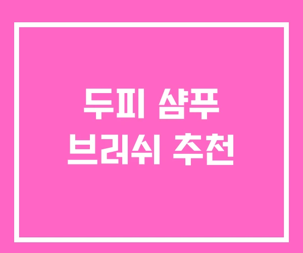 두피 샴푸 브러쉬 추천