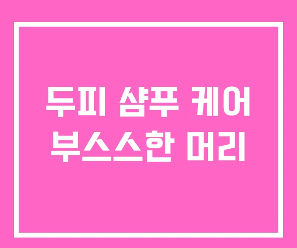 두피 샴푸 케어 부스스한 머리