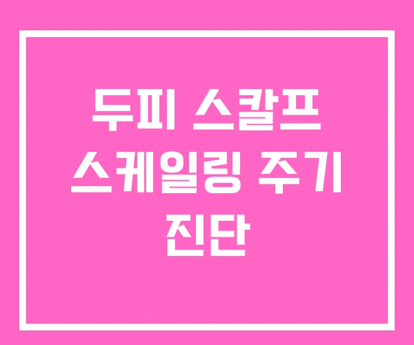 두피 스칼프 스케일링 주기 진단 두피 스칼프 스케일링 주기 진단