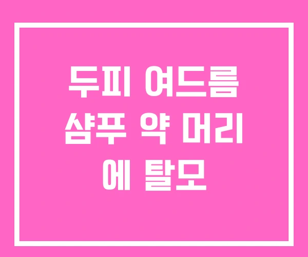 두피 여드름 샴푸 약 머리 에 탈모