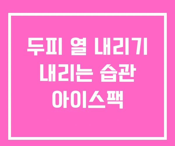 두피 열 내리기 내리는 습관 아이스팩