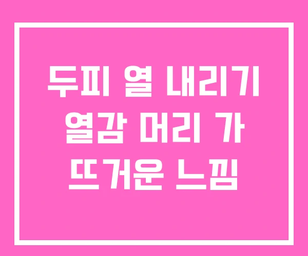 두피 열 내리기 열감 머리 가 뜨거운 느낌