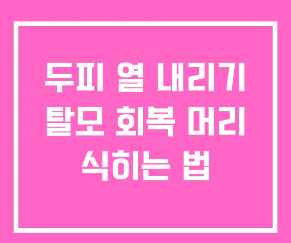 두피 열 내리기 탈모 회복 머리 식히는 법