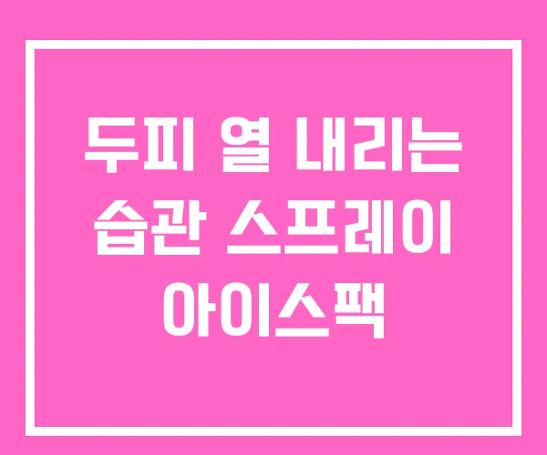 두피 열 내리는 습관 스프레이 아이스팩