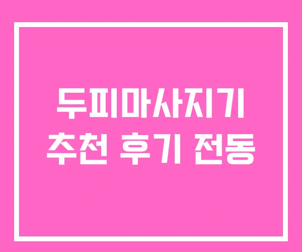 두피마사지기 추천 후기 전동