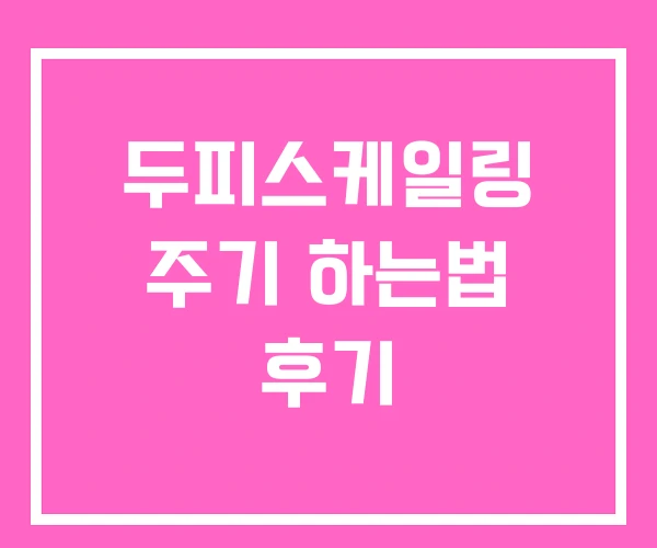 두피스케일링 주기 하는법 후기 두피스케일링 주기 하는법 후기
