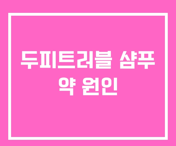 두피트러블 샴푸 약 원인