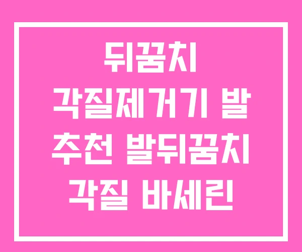 뒤꿈치 각질제거기 발 추천 발뒤꿈치 각질 바세린