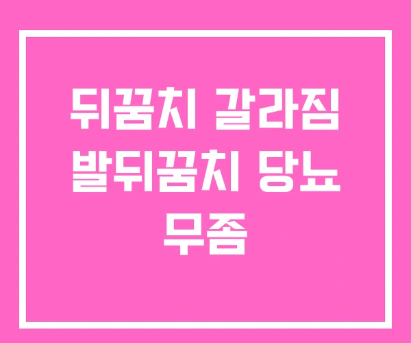 뒤꿈치 갈라짐 발뒤꿈치 당뇨 무좀 뒤꿈치 갈라짐 발뒤꿈치 당뇨 무좀
