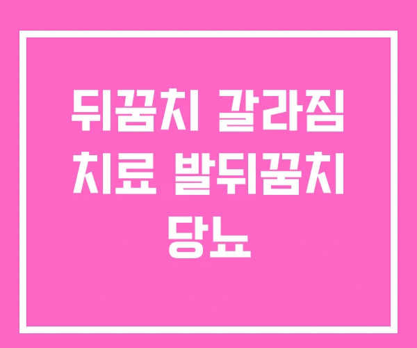 뒤꿈치 갈라짐 치료 발뒤꿈치 당뇨 뒤꿈치 갈라짐 치료 발뒤꿈치 당뇨