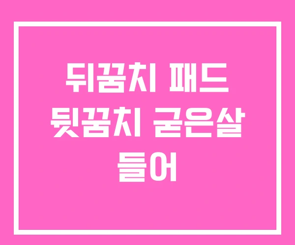 뒤꿈치 패드 뒷꿈치 굳은살 들어 뒤꿈치 패드 뒷꿈치 굳은살 들어