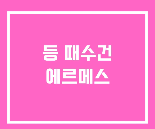 등 때수건 에르메스