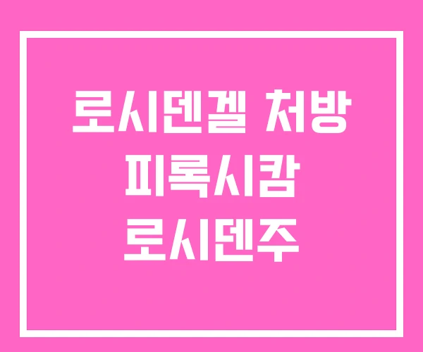 로시덴겔 처방 피록시캄 로시덴주