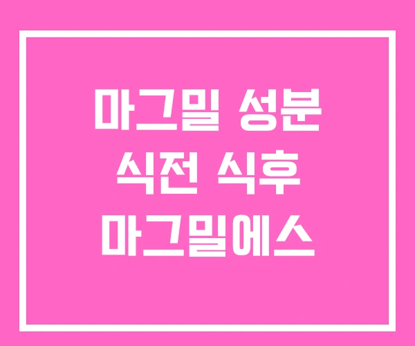 마그밀 성분 식전 식후 마그밀에스