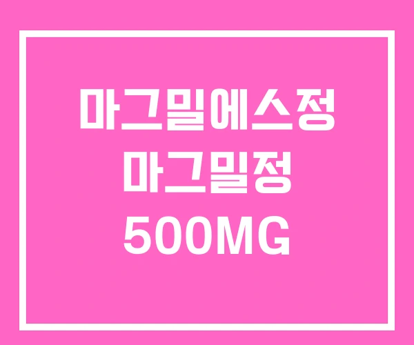 마그밀에스정 마그밀정 500MG 마그밀에스정 마그밀정 500MG