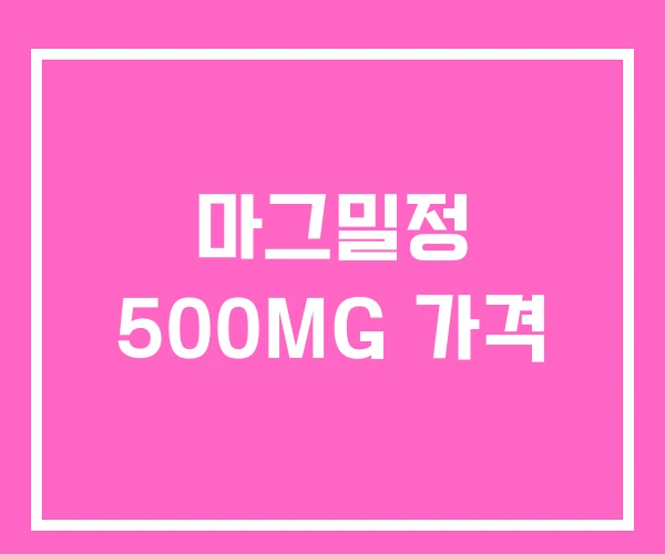 마그밀정 500MG 가격