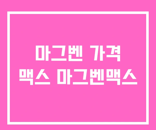 마그벤 가격 맥스 마그벤맥스 마그벤 가격 맥스 마그벤맥스