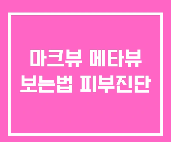 마크뷰 메타뷰 보는법 피부진단