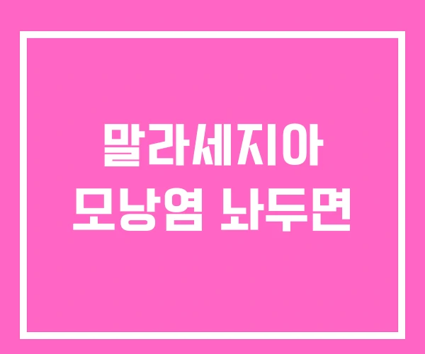 말라세지아 모낭염 놔두면