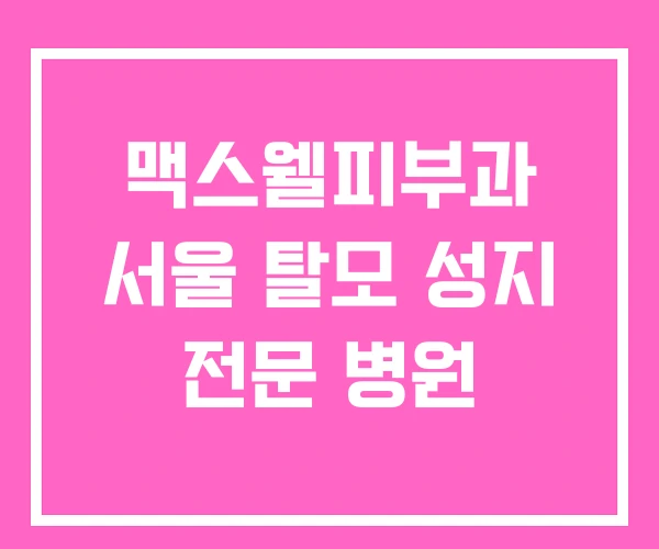 맥스웰피부과 서울 탈모 성지 전문 병원