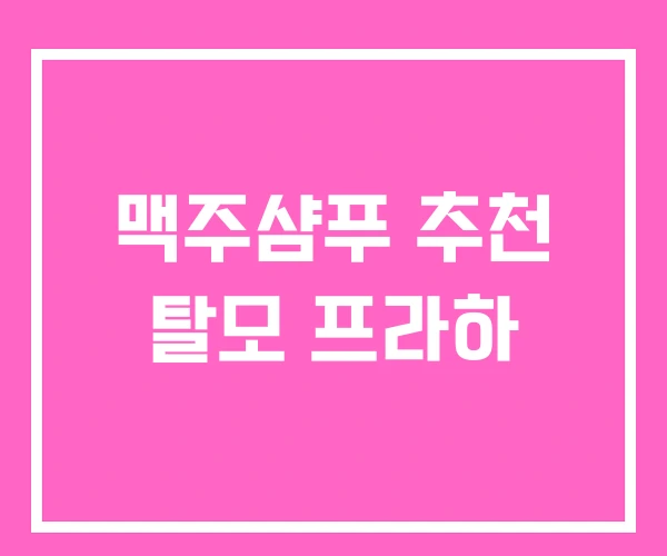 맥주샴푸 추천 탈모 프라하 맥주샴푸 추천 탈모 프라하