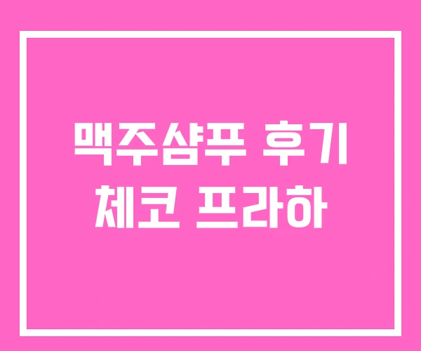 맥주샴푸 후기 체코 프라하 맥주샴푸 후기 체코 프라하