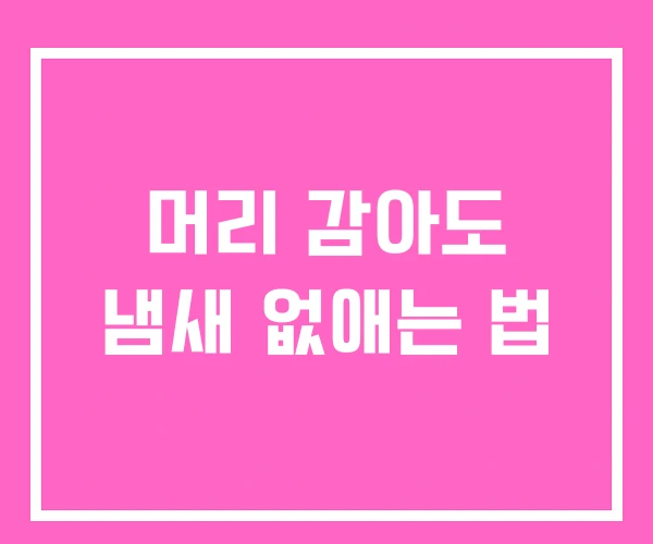 머리 감아도 냄새 없애는 법