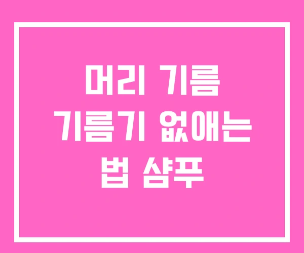 머리 기름 기름기 없애는 법 샴푸