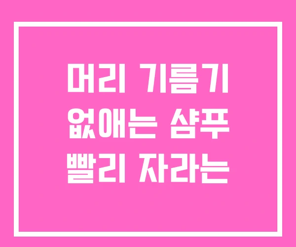 머리 기름기 없애는 샴푸 빨리 자라는