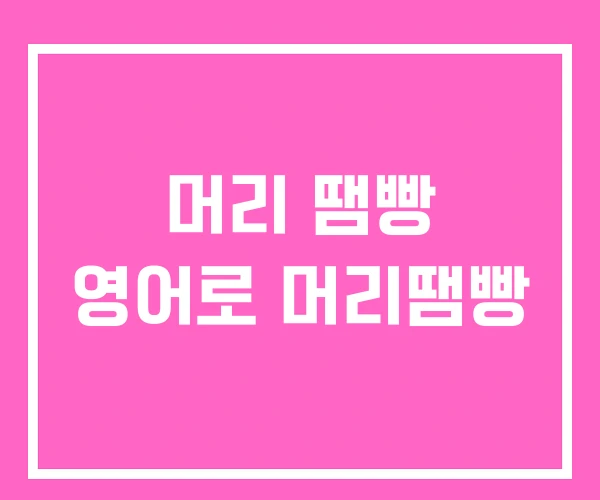 머리 땜빵 영어로 머리땜빵