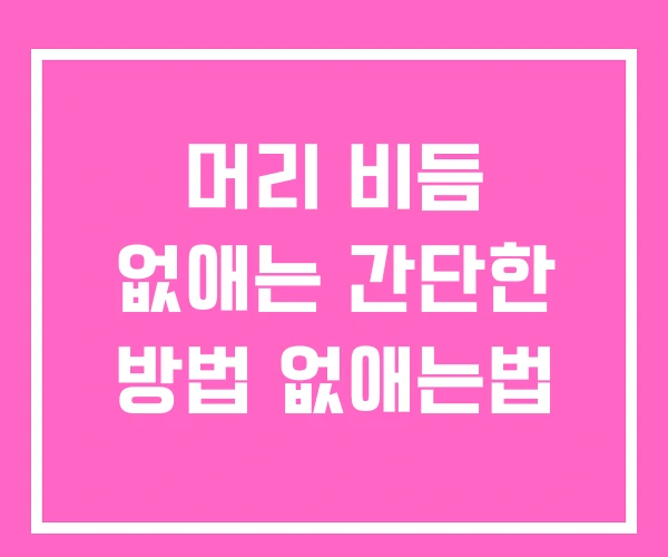 머리 비듬 없애는 간단한 방법 없애는법