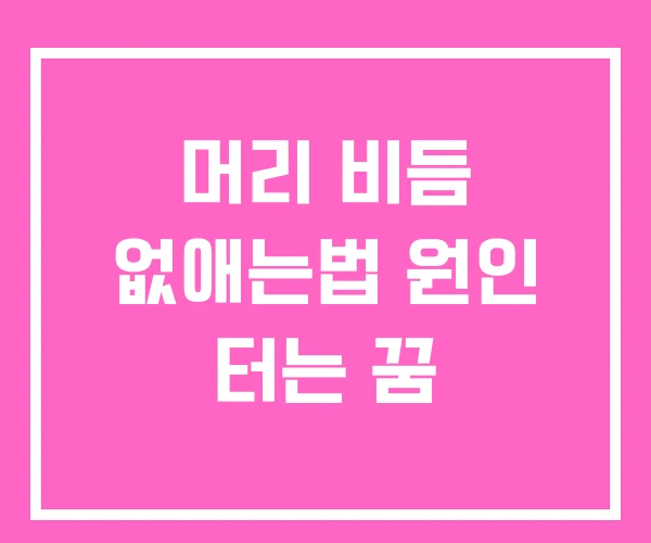 머리 비듬 없애는법 원인 터는 꿈