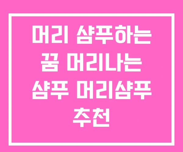 머리 샴푸하는 꿈 머리나는 샴푸 머리샴푸 추천 머리 샴푸하는 꿈 머리나는 샴푸 머리샴푸 추천