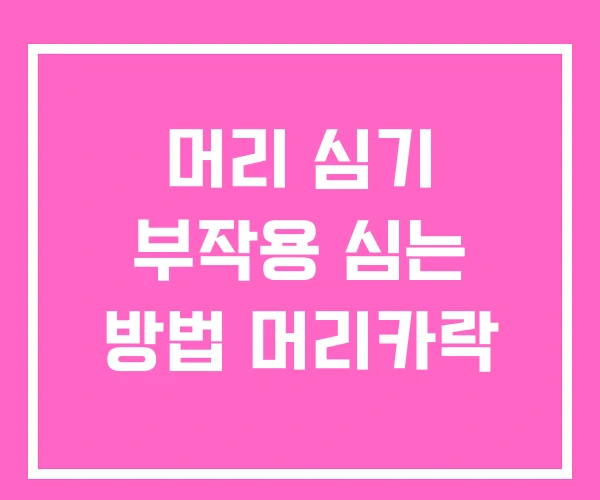 머리 심기 부작용 심는 방법 머리카락