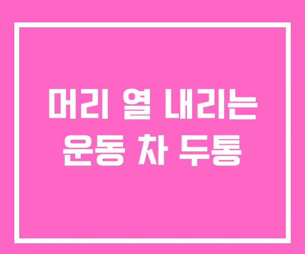 머리 열 내리는 운동 차 두통 머리 열 내리는 운동 차 두통