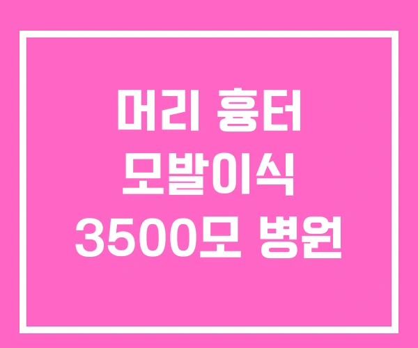 머리 흉터 모발이식 3500모 병원