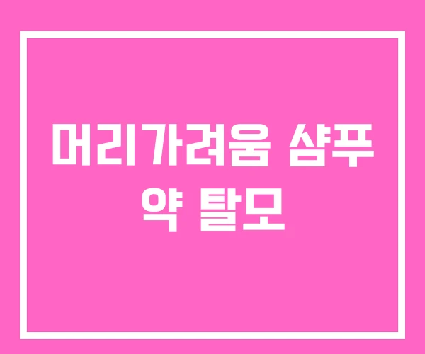 머리가려움 샴푸 약 탈모 머리가려움 샴푸 약 탈모