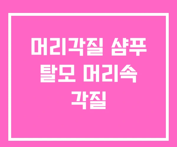 머리각질 샴푸 탈모 머리속 각질