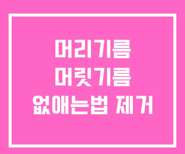 머리기름 머릿기름 없애는법 제거 머리기름 머릿기름 없애는법 제거